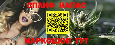 альфа пвп Новодвинск