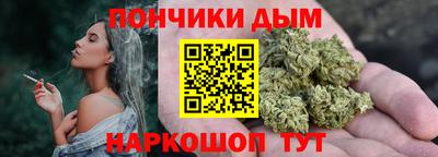индика Нальчик