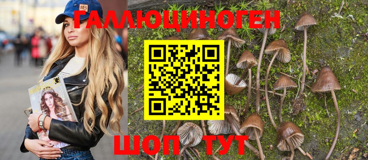 наркотики  Вход с VPN  Серов  Псилоцибиновые грибы Psilocybe 