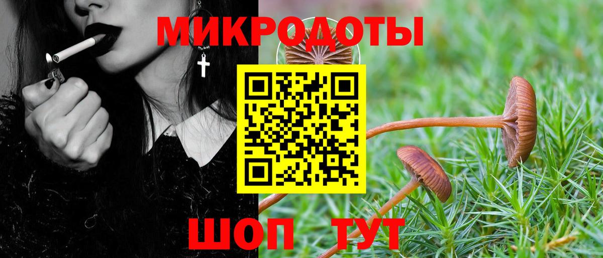 Галлюциногенные грибы Magic Shrooms Серов